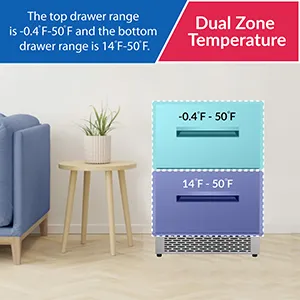 Dual Zone Temperature