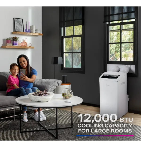 Cools & Heats 550 Sq. Ft. Rooms