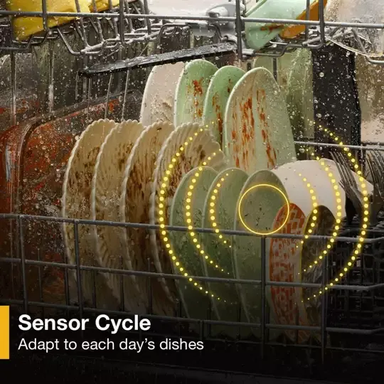 Sensor Cycle