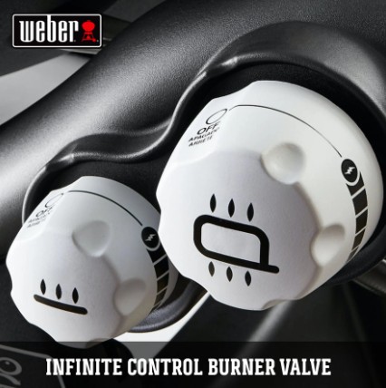 Infinite Control Burner Valve