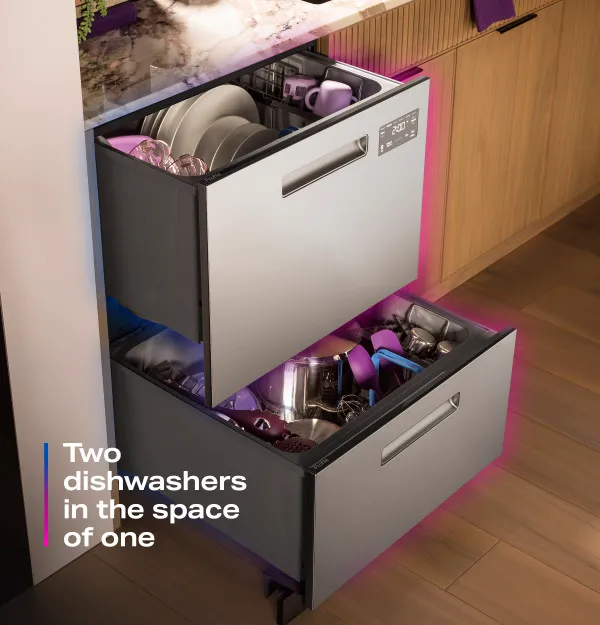 Two Dishwashers in One