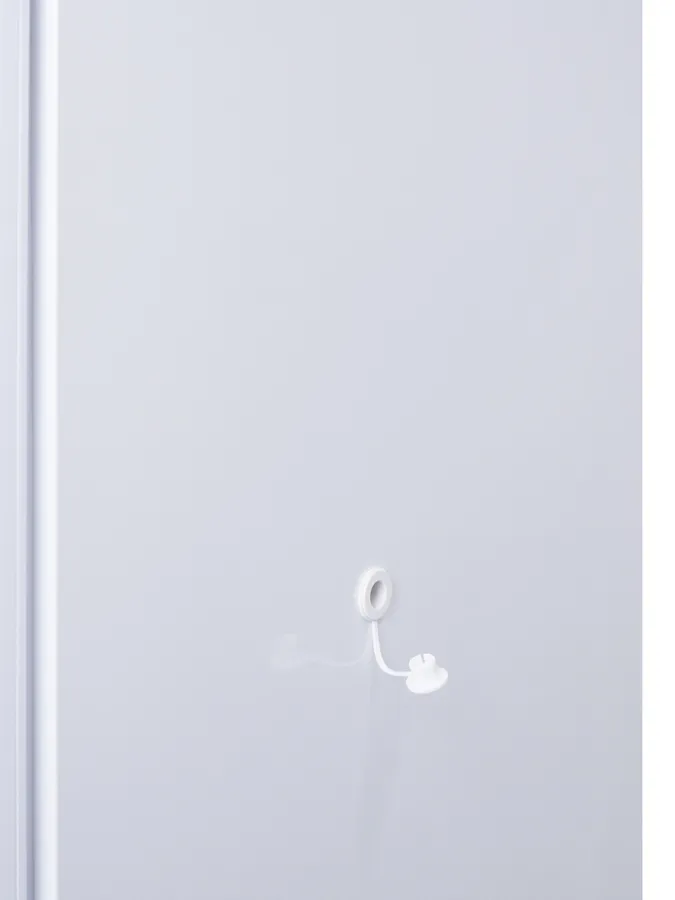 Access Port