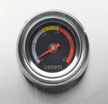 Analog Temperature Gauge