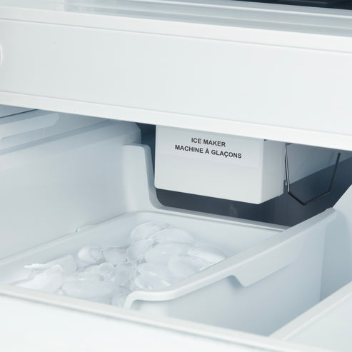 Filtered Ice Maker with Automatic Level Control