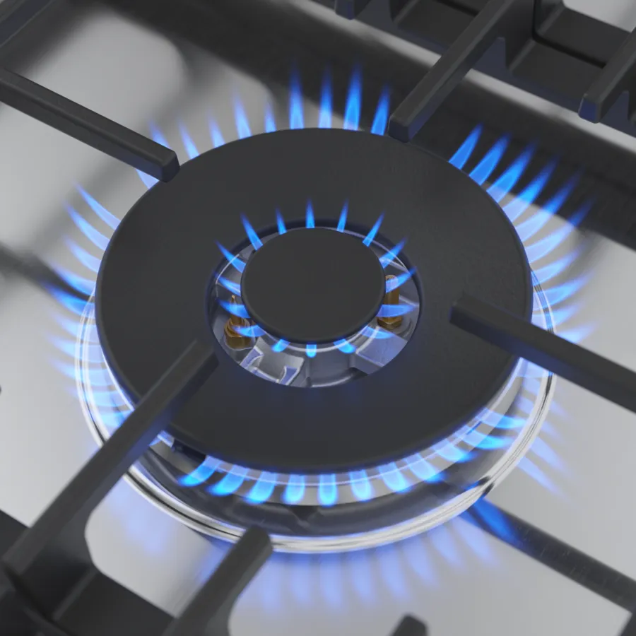 Dual-Flame Power Burner