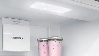 Led Ceiling Lighting