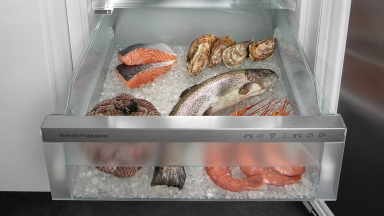 Fish & Seafood-Safe
