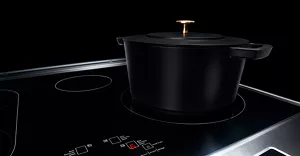 Magnetic Induction.