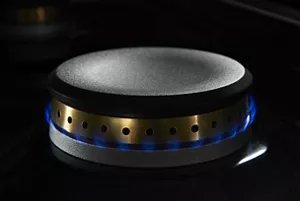 Electronic Ignition With Flame-Sensing™ Reignition
