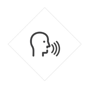 Voice Control Via Wifi