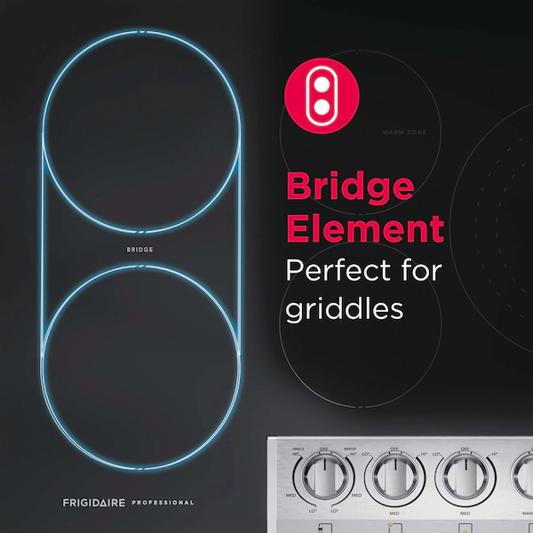 Bridge Element