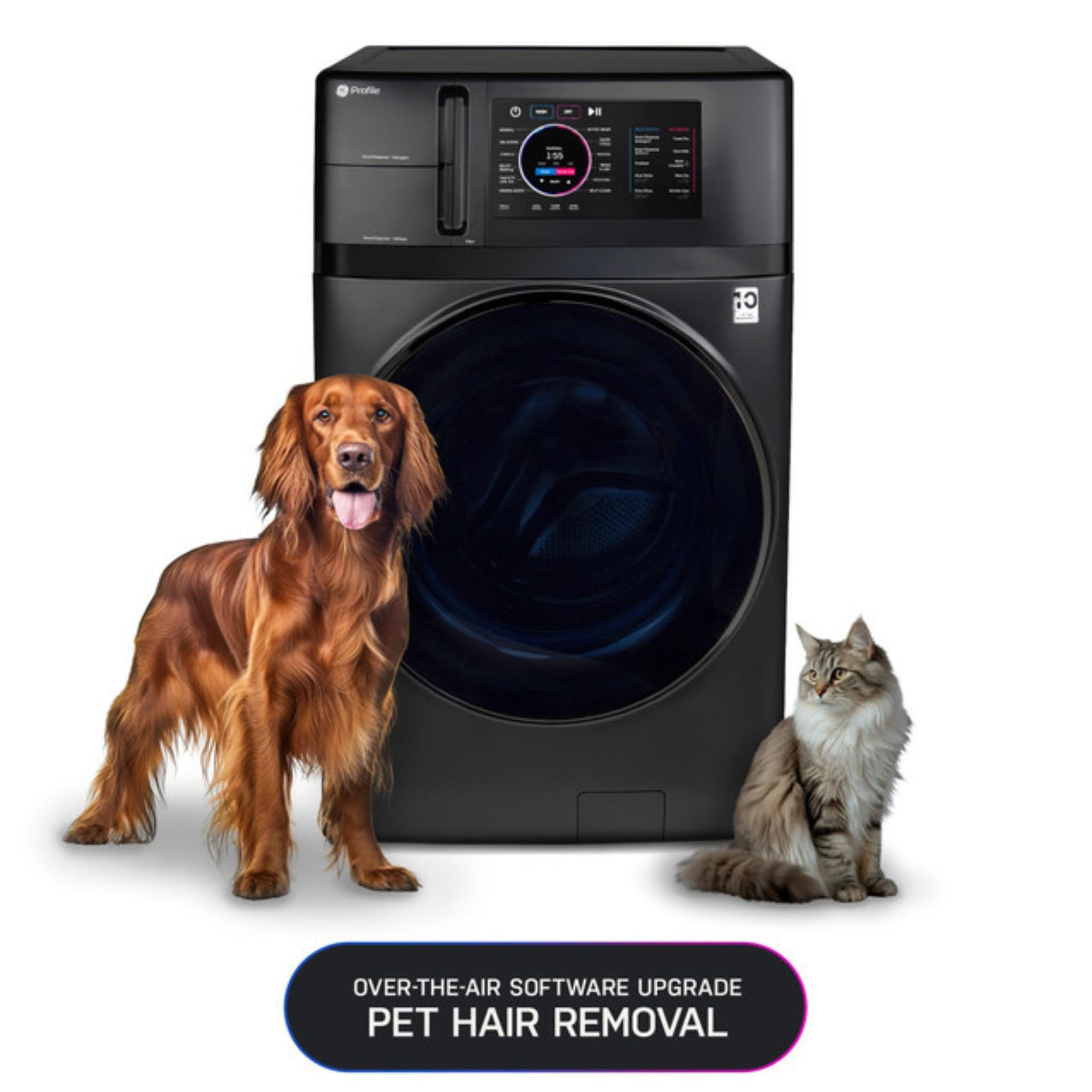 Pet Hair Removal