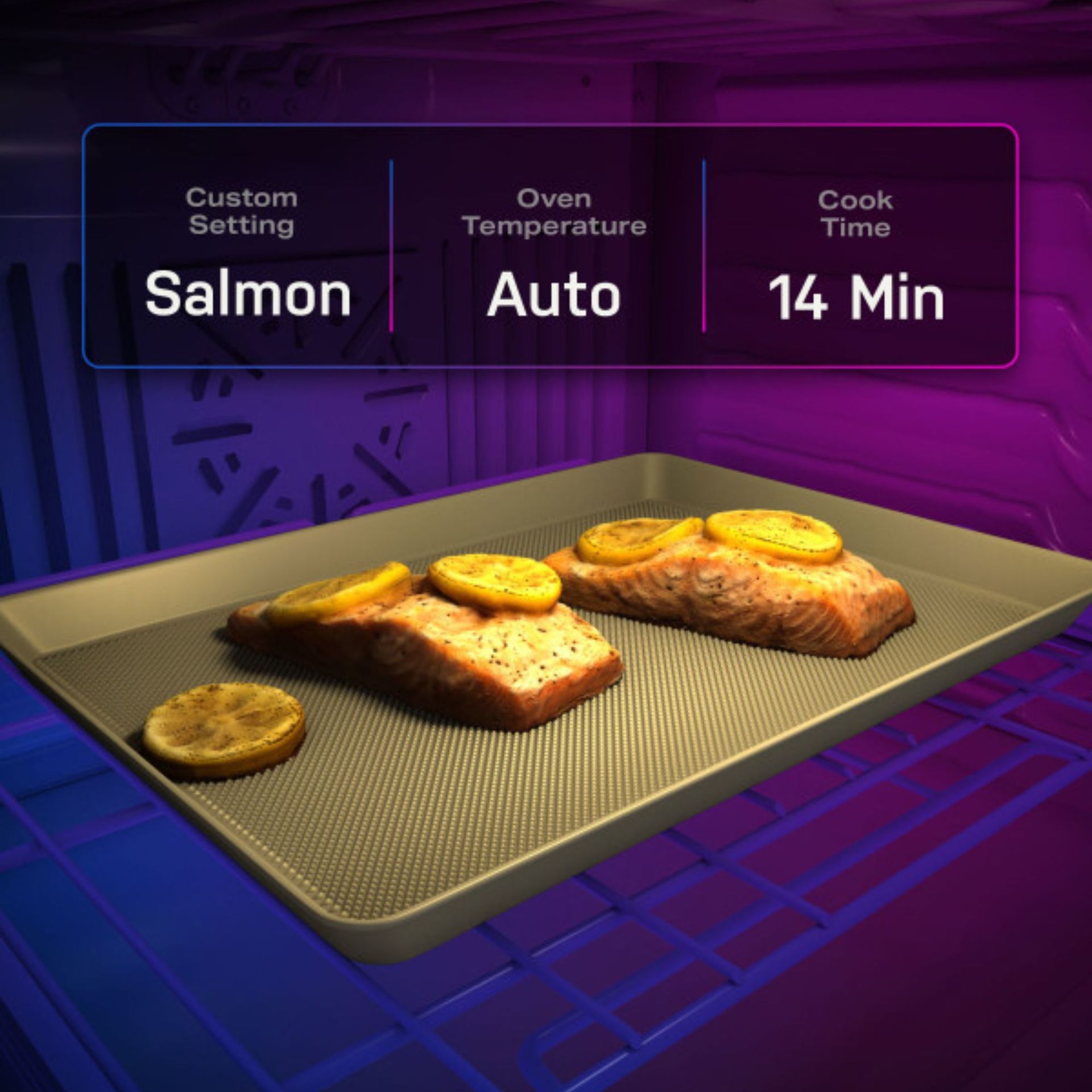 Precision Cooking Modes