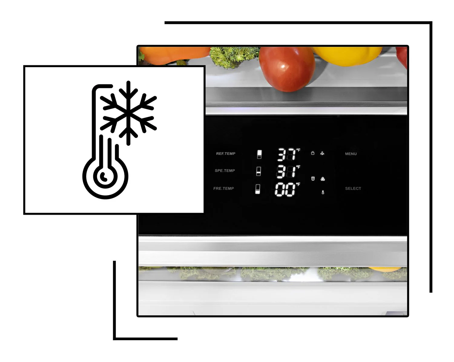 Adjustable Freezer Temperature