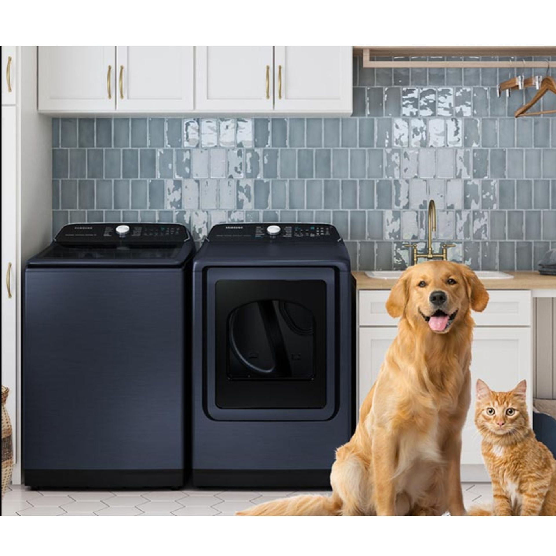 The Pet Care Dry Cycle