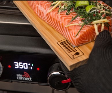 Digital Precision Temperature Control