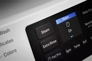 Steam Option