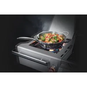 Two-Stage Power Side Burner