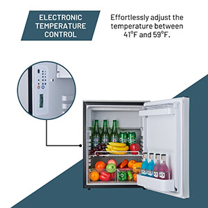 Electronic Temperature Control