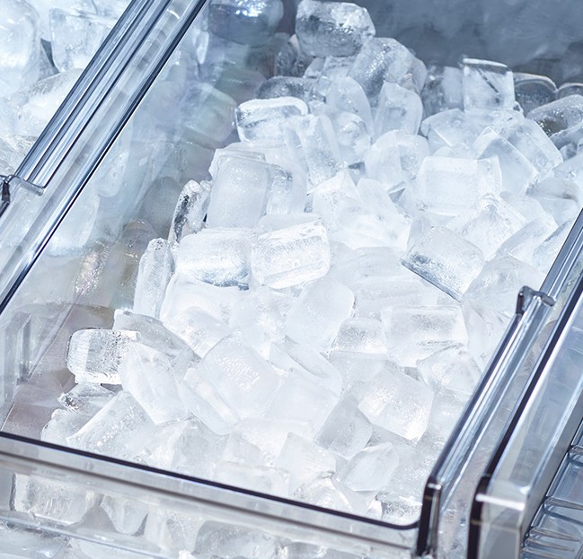 Ice Bites