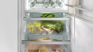 Led Biofresh Lighting