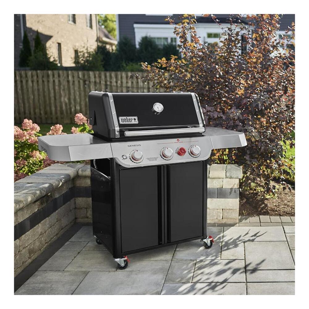 Weber 1500533 Genesis 58